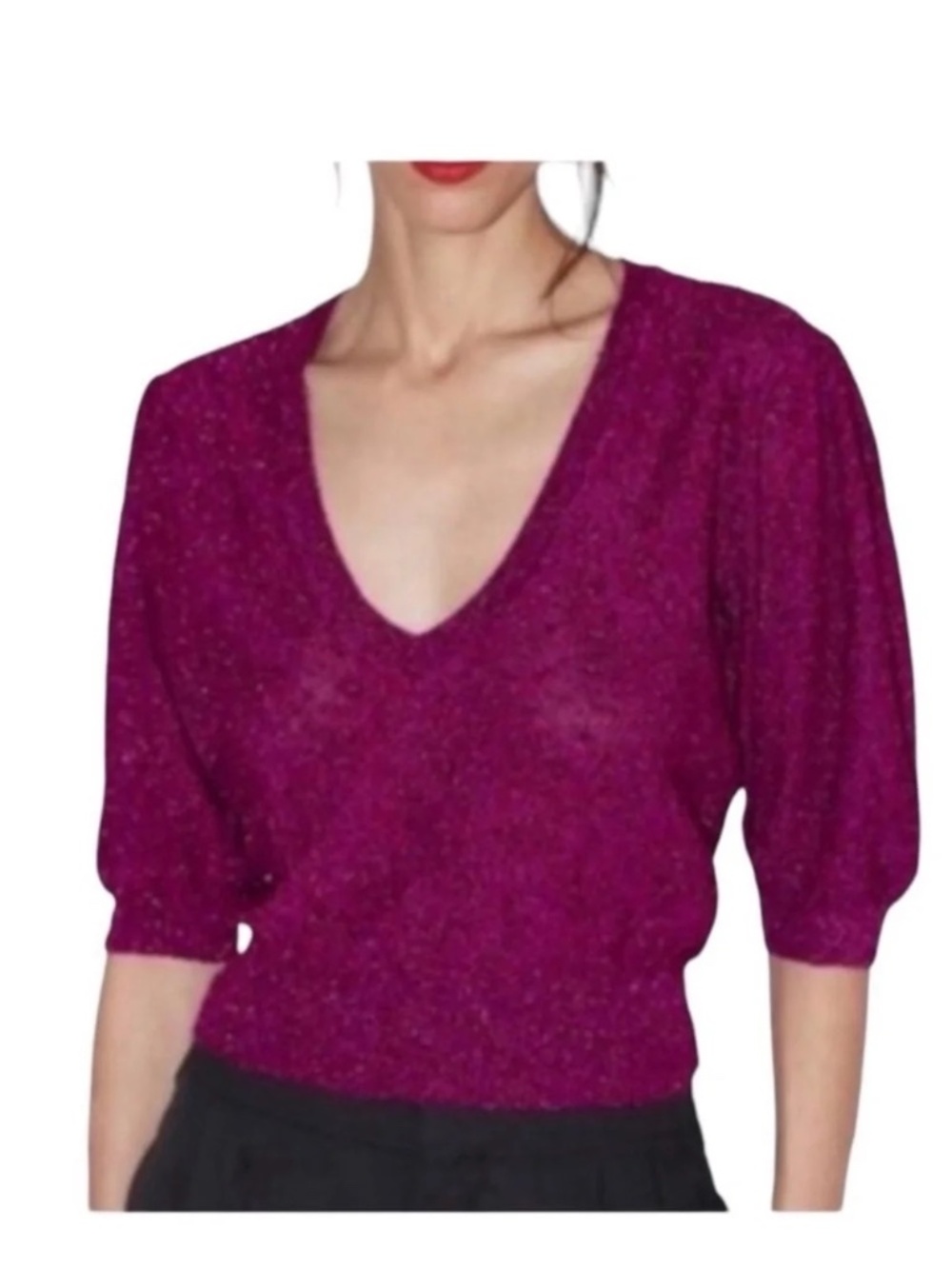 NWT Zara top
